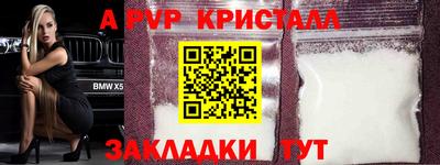 индика Будённовск