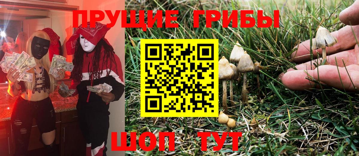 Псилоцибиновые грибы Psilocybe  Вход с VPN  Краснотурьинск 